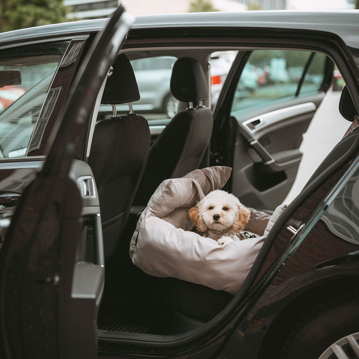 HUNTER 2-in-1 Autositz Seoul für Hunde