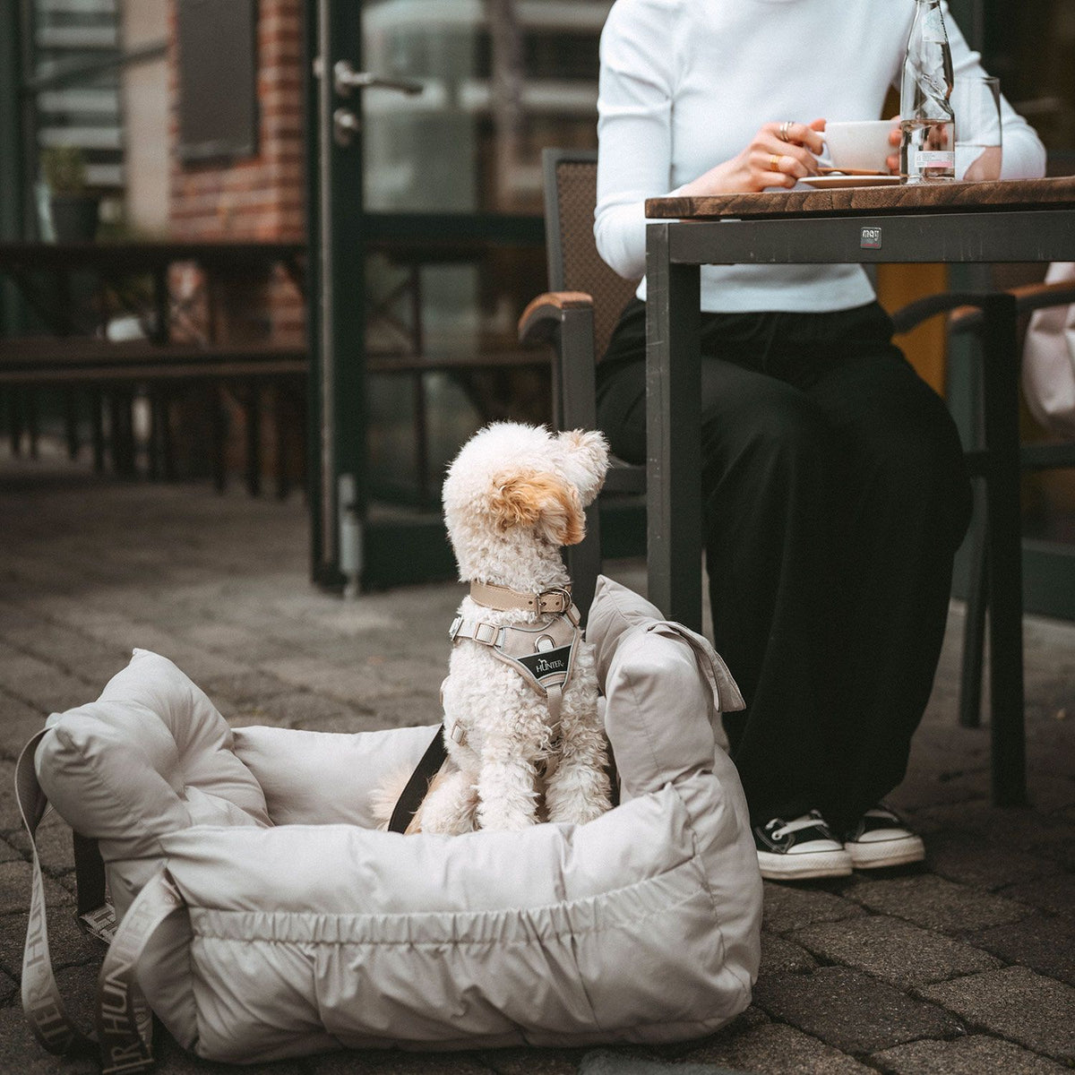 HUNTER 2-in-1 Autositz Seoul für Hunde