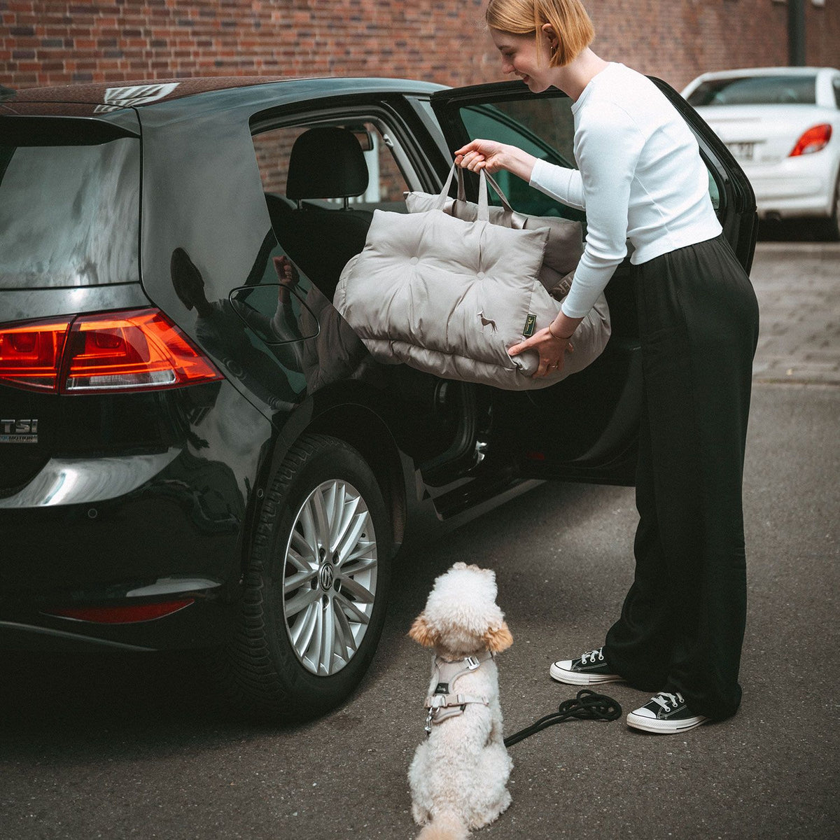 HUNTER 2-in-1 Autositz Seoul für Hunde