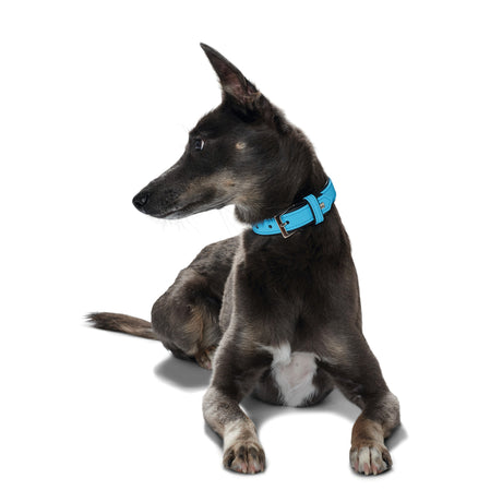 Hunter Hundehalsband Softie Kunstleder