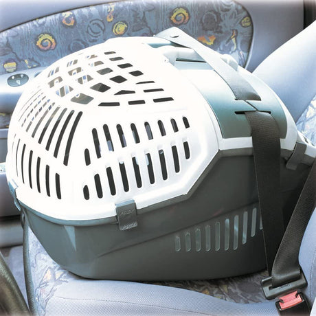 Haustier Transportbox Avior