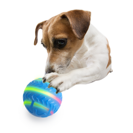 AFP Interactives Motion Activated Action Ball für Hunde | tiierisch.de – 8,9 cm