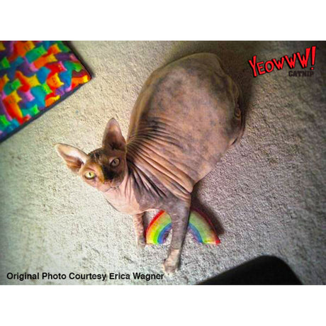 Yeowww! Rainbow Katzenspielzeug – 17,7 cm