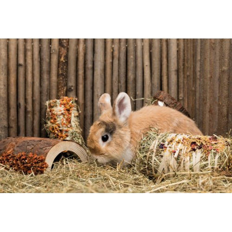 Holz Brücke Kaninchen und Kleinnager mit Gemüse und Nüssen – 16 × 8 × 20 cm, 135 g