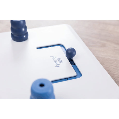 Dog Activity Strategiespiel Move2Win für Hunde