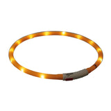 Hunde Leuchthalsband Leuchtring USB