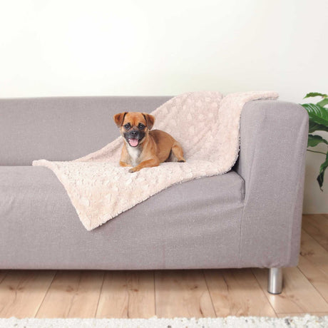 Hundedecke Cosy