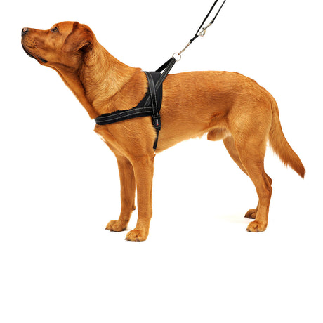 Hundegeschirr Soft & Safe reflektierend