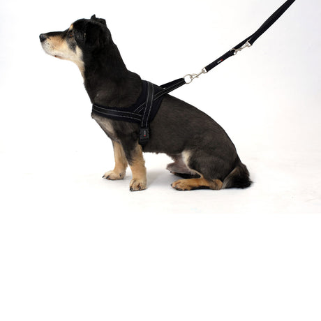 Hundegeschirr Soft & Safe reflektierend