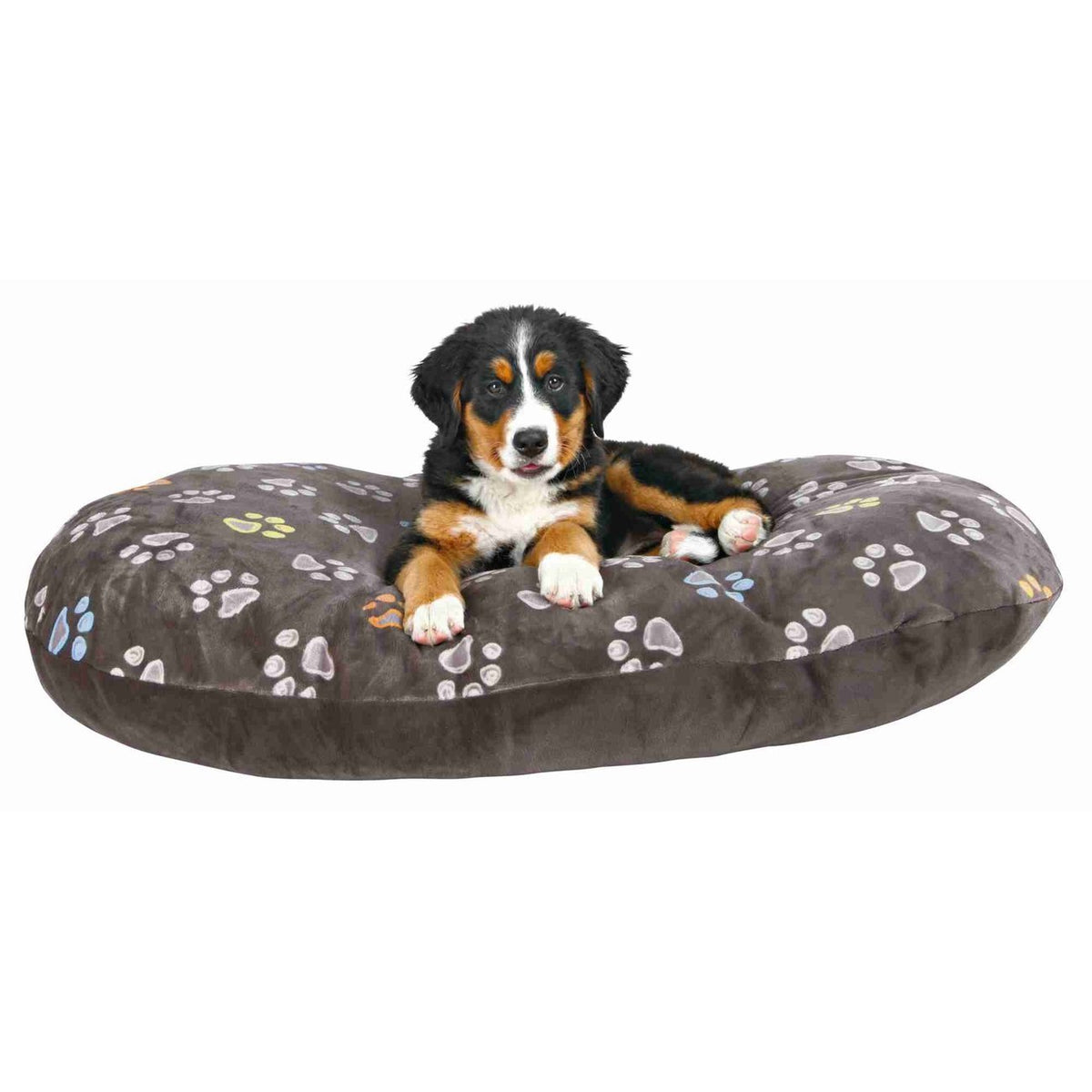Hundekissen Jimmy oval