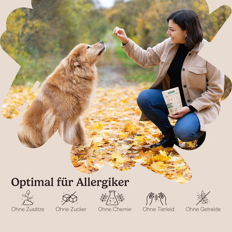 Vegane Hundehappen Morgenmuffel