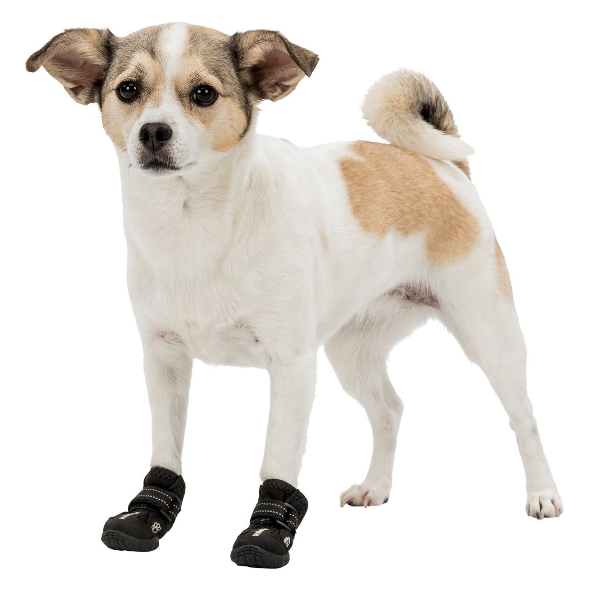 Hundeschuhe Pfotenschutz Walker Active