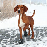 Hundeschuhe Pfotenschutz Walker Active