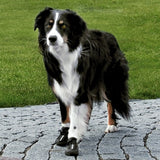 Hundeschuhe Pfotenschutz Walker Active