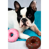 Hundespielzeug Doggy Donut aus Latex