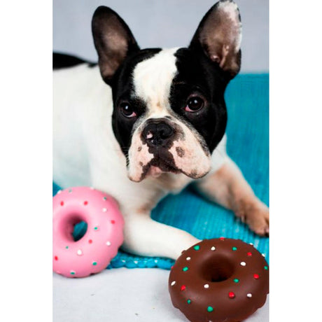 Hundespielzeug Doggy Donut aus Latex