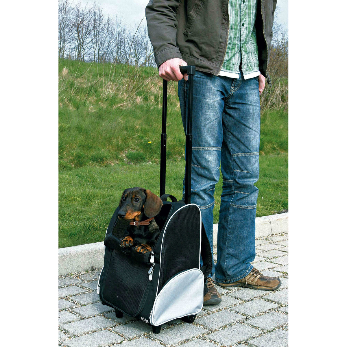 Hundetrolley Rucksack 2in1