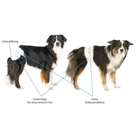 Hundewindeln für Hündinnen