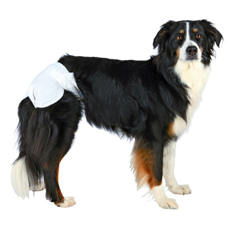 Hundewindeln für Hündinnen