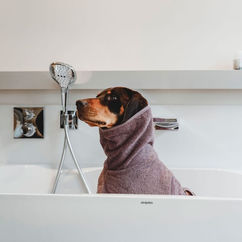 Bademantel Riga für Hunde