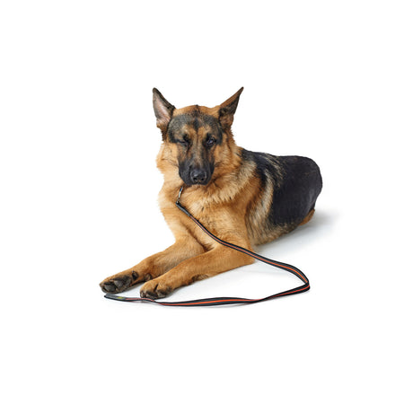 Hunter gummierte Hundeleine Visby Super Grip