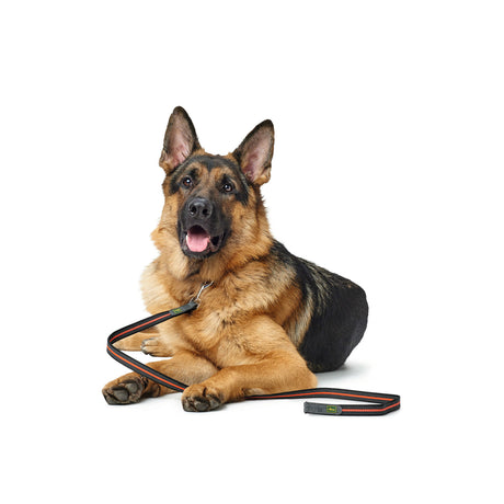 Hunter gummierte Hundeleine Visby Super Grip
