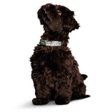 Halsband Convenience Reflect Glow