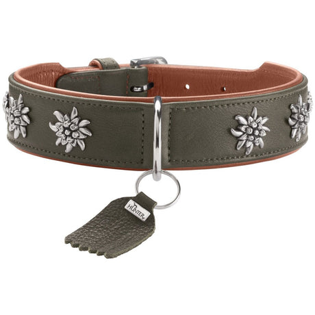 Halsband München für Hunde
