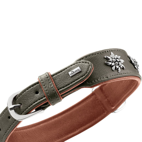 Halsband München für Hunde