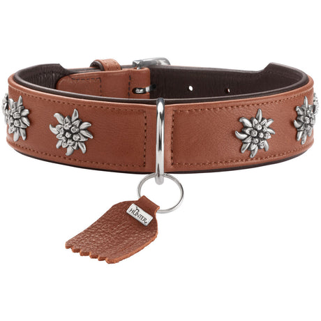 Halsband München für Hunde