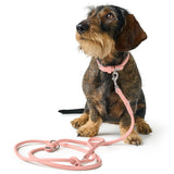 Halsband Soho Mini
