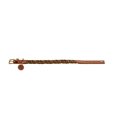 Halsband Solid Education Duo