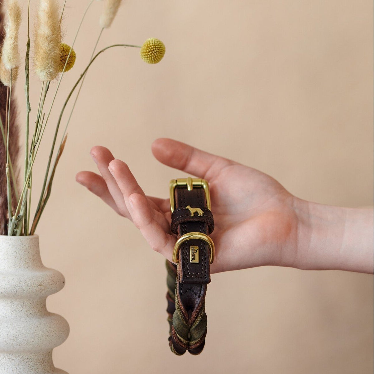 Halsband Solid Education Duo