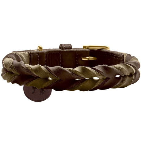 Halsband Solid Education Duo