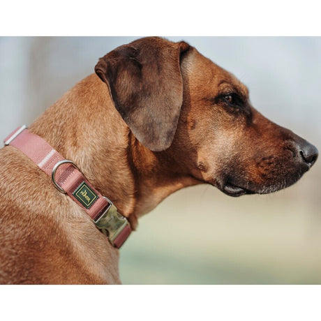 Hunde Halsung Inari Alu-Strong