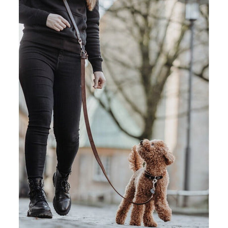 Hunde Halsung Inari Alu-Strong