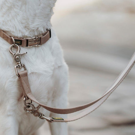 Hunde Halsung Inari Alu-Strong