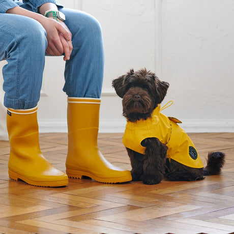 Hunde Regenmantel Milford