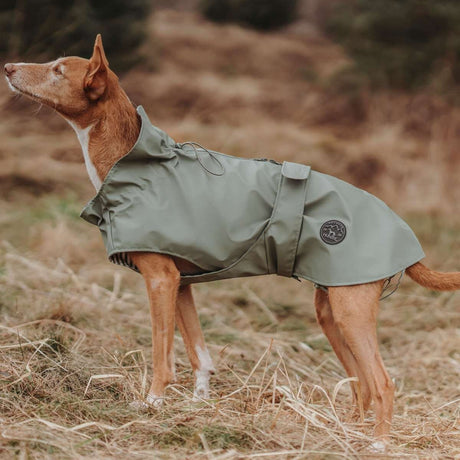 Hunde Regenmantel Milford Friesennerz