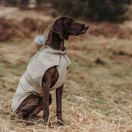 Hunde Regenmantel Milford Friesennerz