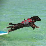 Hunter Hunde Schwimmweste Moss