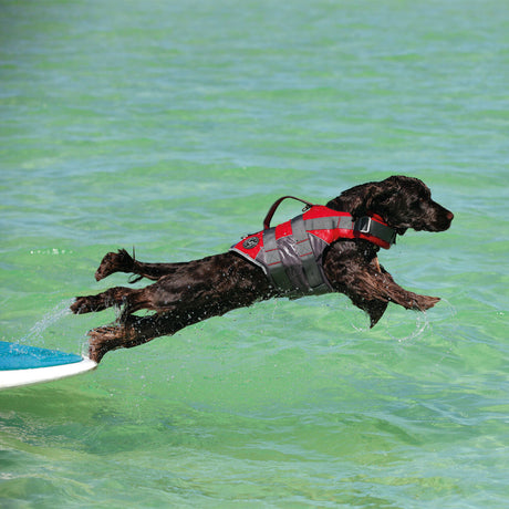 Hunter Hunde Schwimmweste Moss