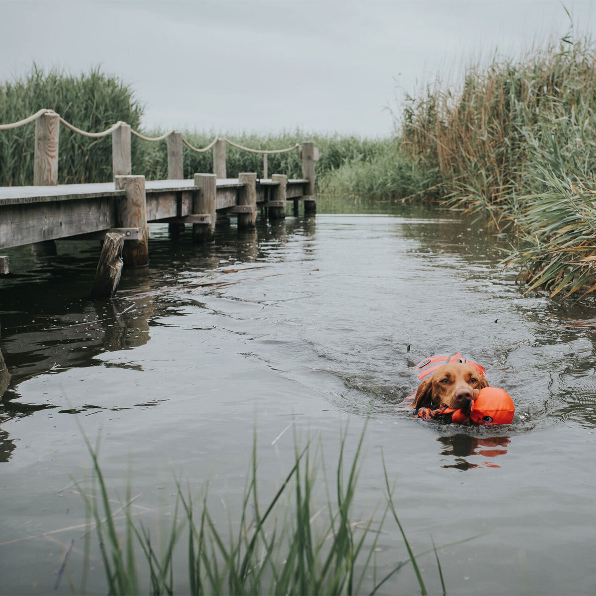 Hunter Hunde Schwimmweste Moss