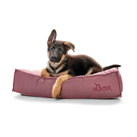 Hunter Hundebett Lancaster