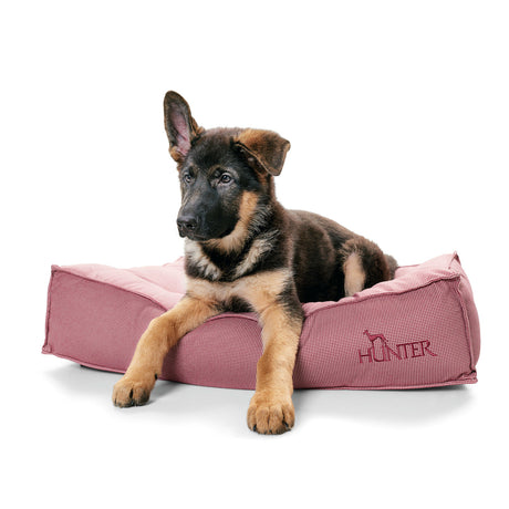 Hunter Hundebett Lancaster