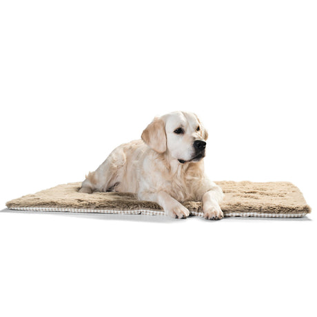 Hunter Hundedecke Astana