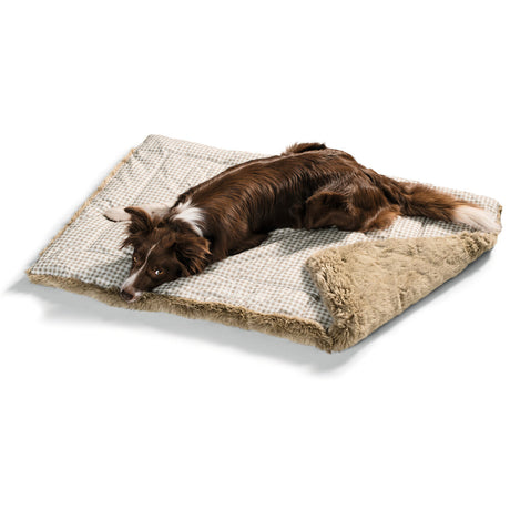 Hunter Hundedecke Astana