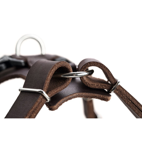 Hunter Hundegeschirr Aalborg Leder