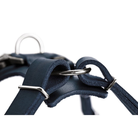 Hunter Hundegeschirr Aalborg Leder
