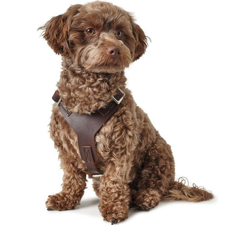 Hunter Hundegeschirr Aalborg Leder